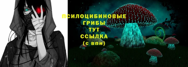 соль ск Балабаново
