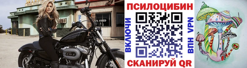Галлюциногенные грибы Cubensis  Ревда 