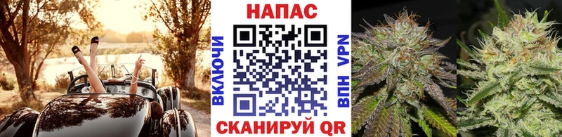 блэк спрут зеркало  Ревда  Конопля SATIVA & INDICA 